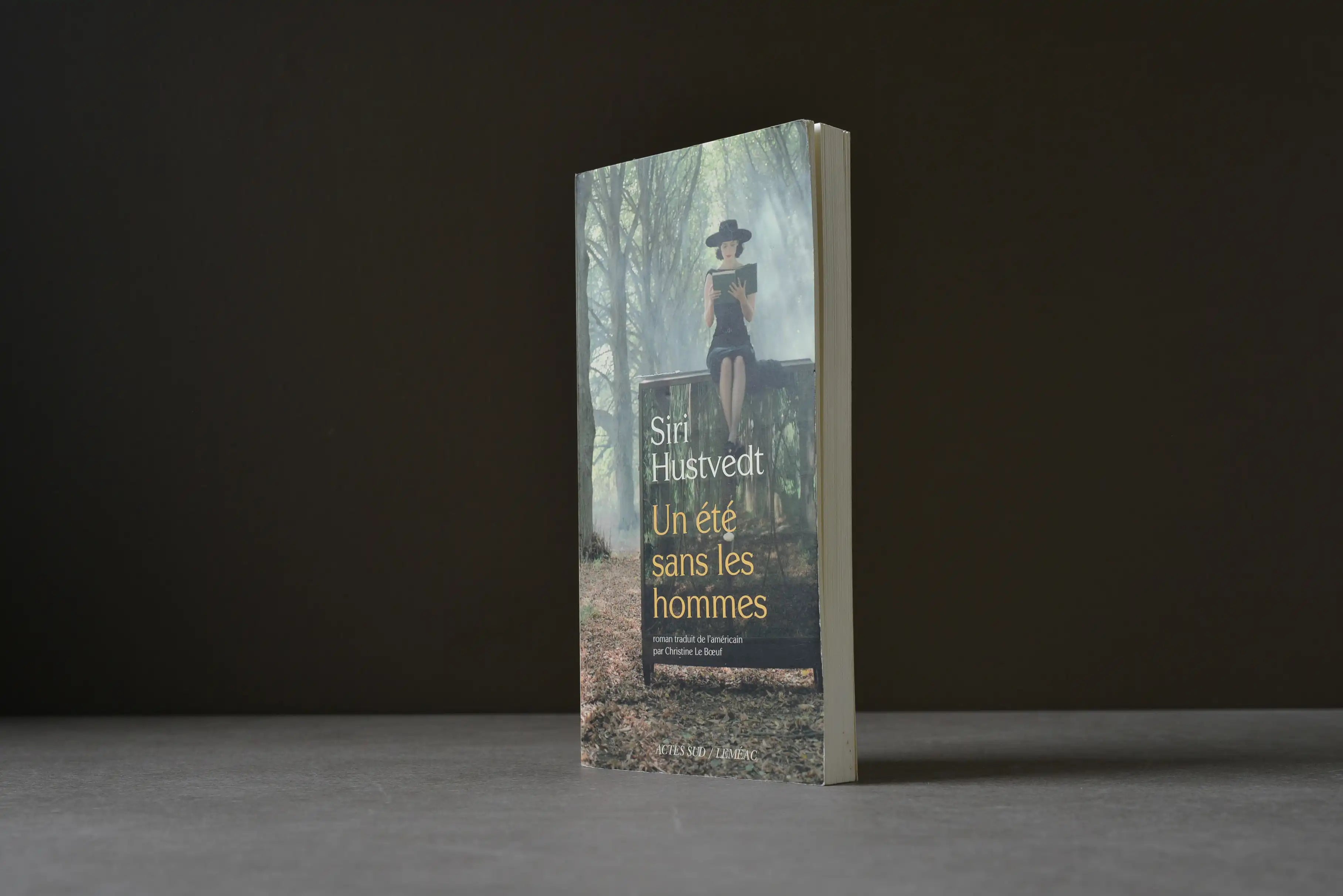 Hustvedt, Siri - Un été sans les hommes - Actes Sud - 9782742797226 - Bon -  livre usagé