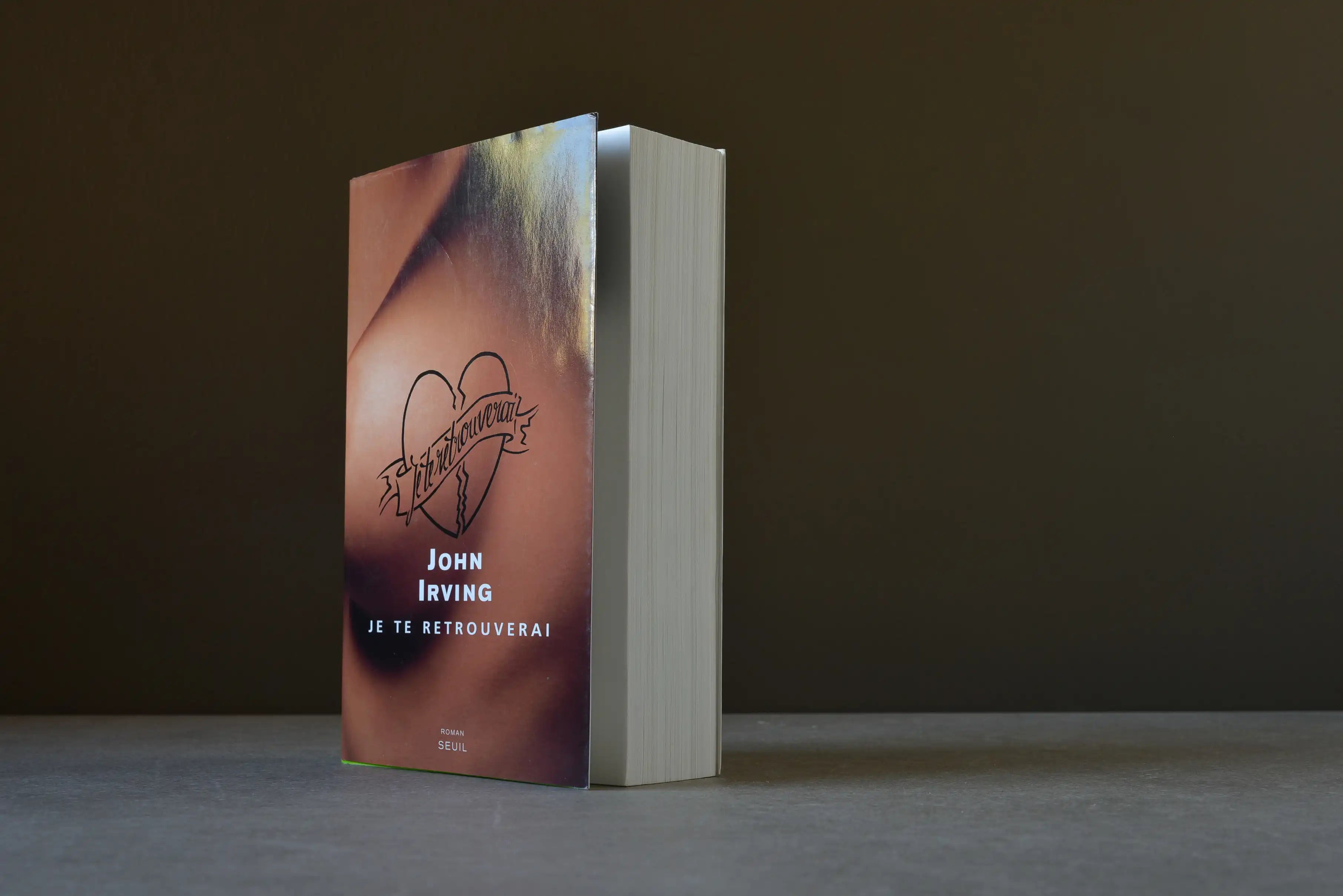 Irving, John - Je te retrouverai - Seuil - 9782020844963 - Très bon -  livre usagé