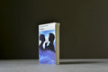 Jardin, Alexandre - Fanfan - Folio - 9782070385133 - Bon+ -  livre usagé