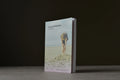 Kerninon, Julia - Liv Maria  - ABDUCO/AP - 9782925085010 - Très bon -  livre usagé