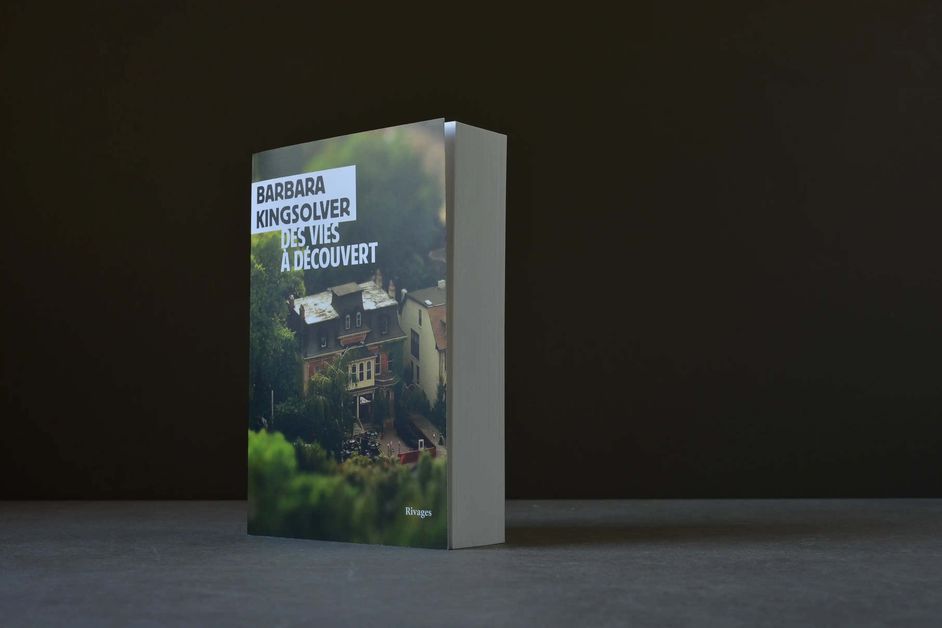 Kingsolver, Barbara - Des vies à découvert - Rivages - 9782743651077 - Bon -  livre usagé