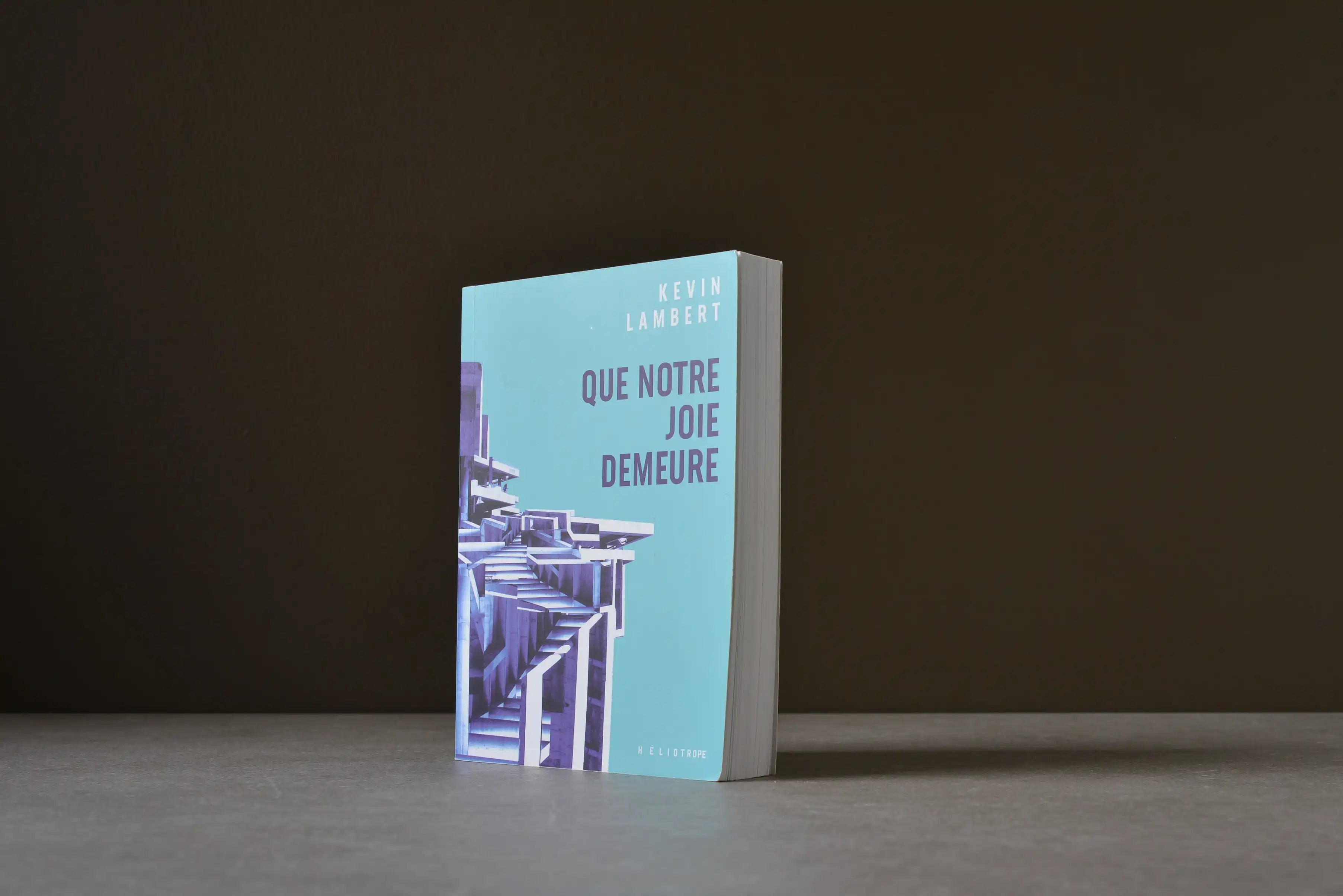 Lambert, Kevin - Que notre joie demeure - Héliotrope - 9782898220876 - Bon -  livre usagé