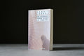 LeHane, Dennis - Un dernier verre avant la guerre - Rivages - 9782743607388 - Bon - livre usagé
