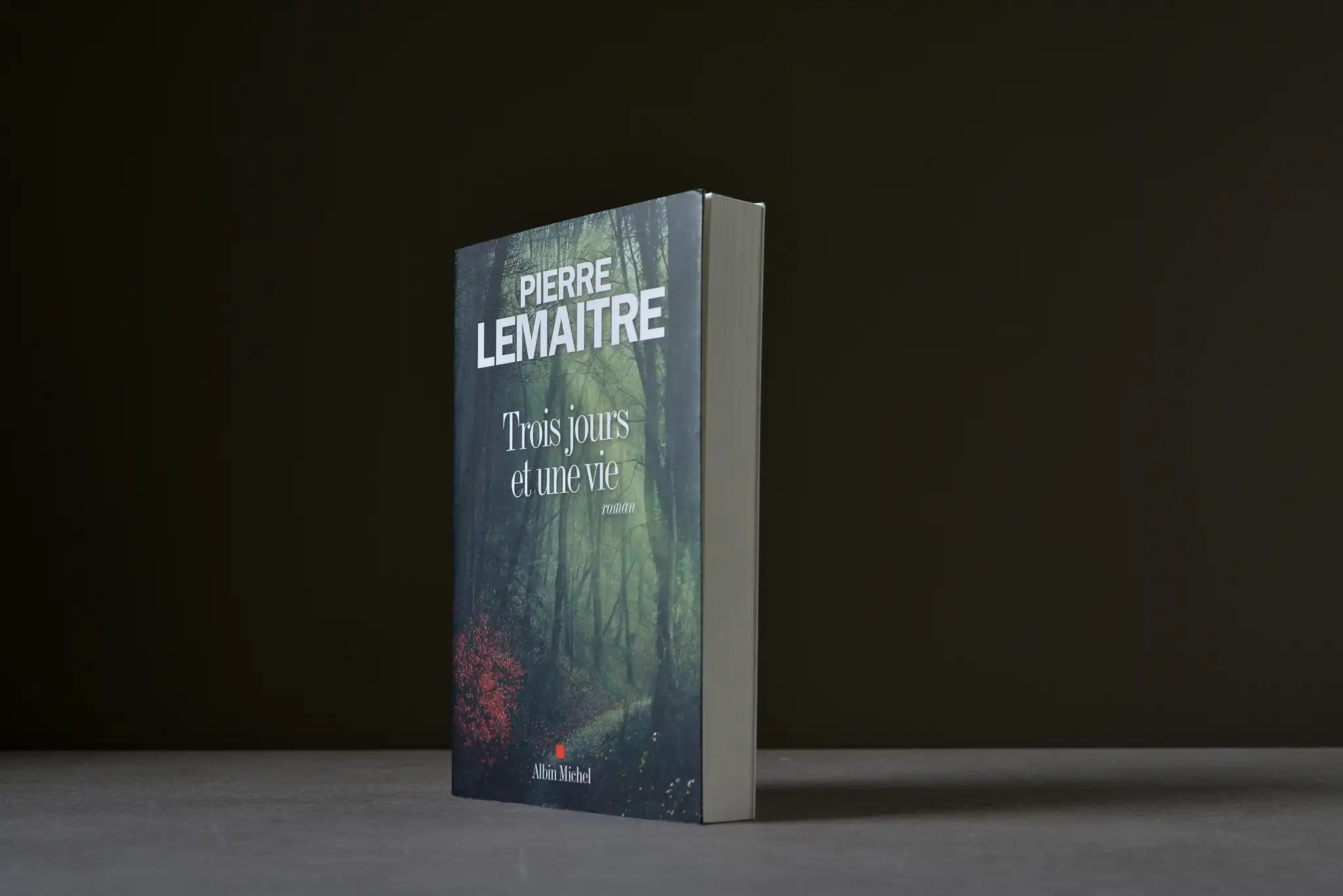 Lemaitre, Pierre - Trois jours et une vie - Albin Michel - 9782226325730 - Très bon -  livre usagé