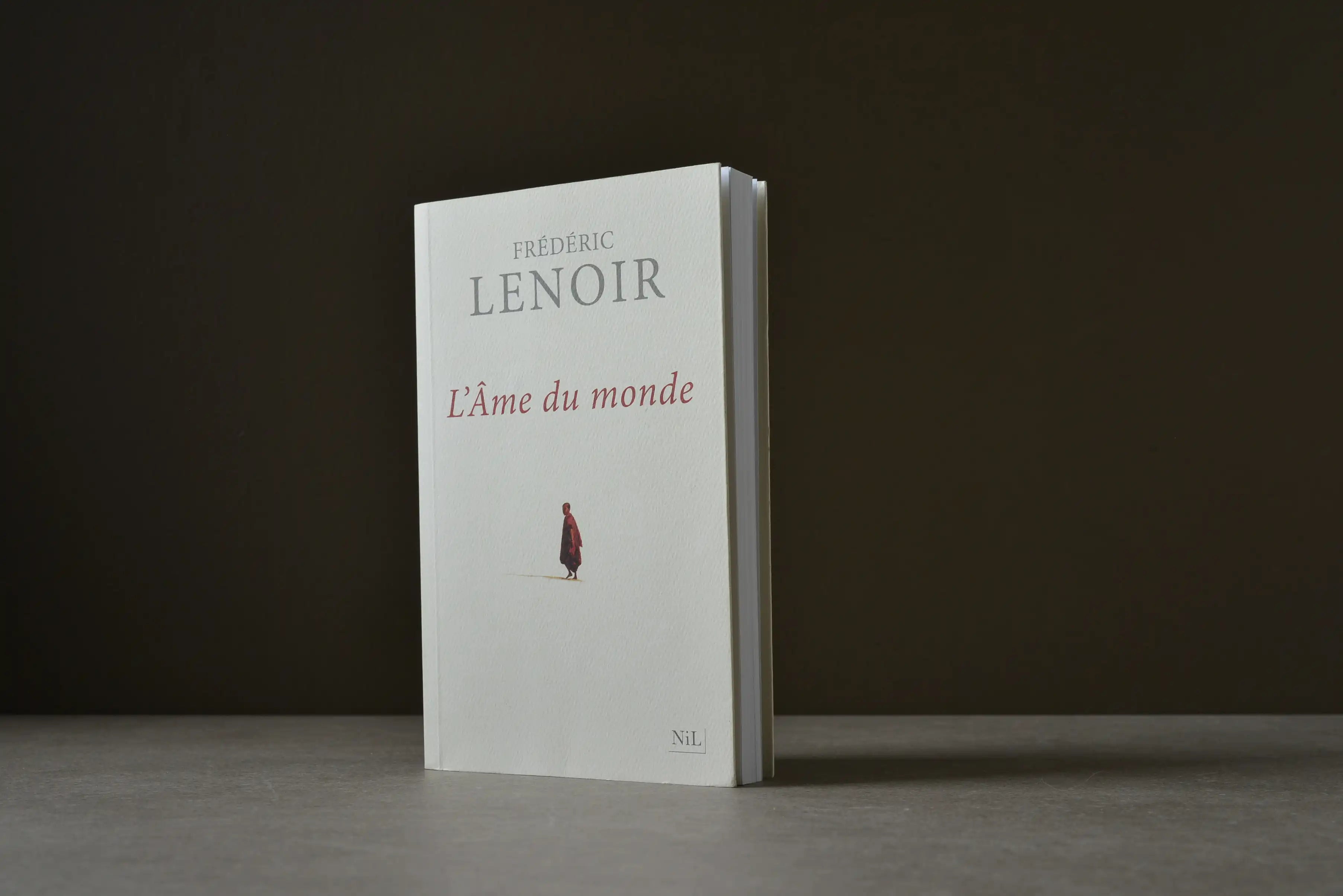 Lenoir, Frédéric - L'ÂME DU MONDE - NIL - 9782841116188 - Très bon -  livre usagé