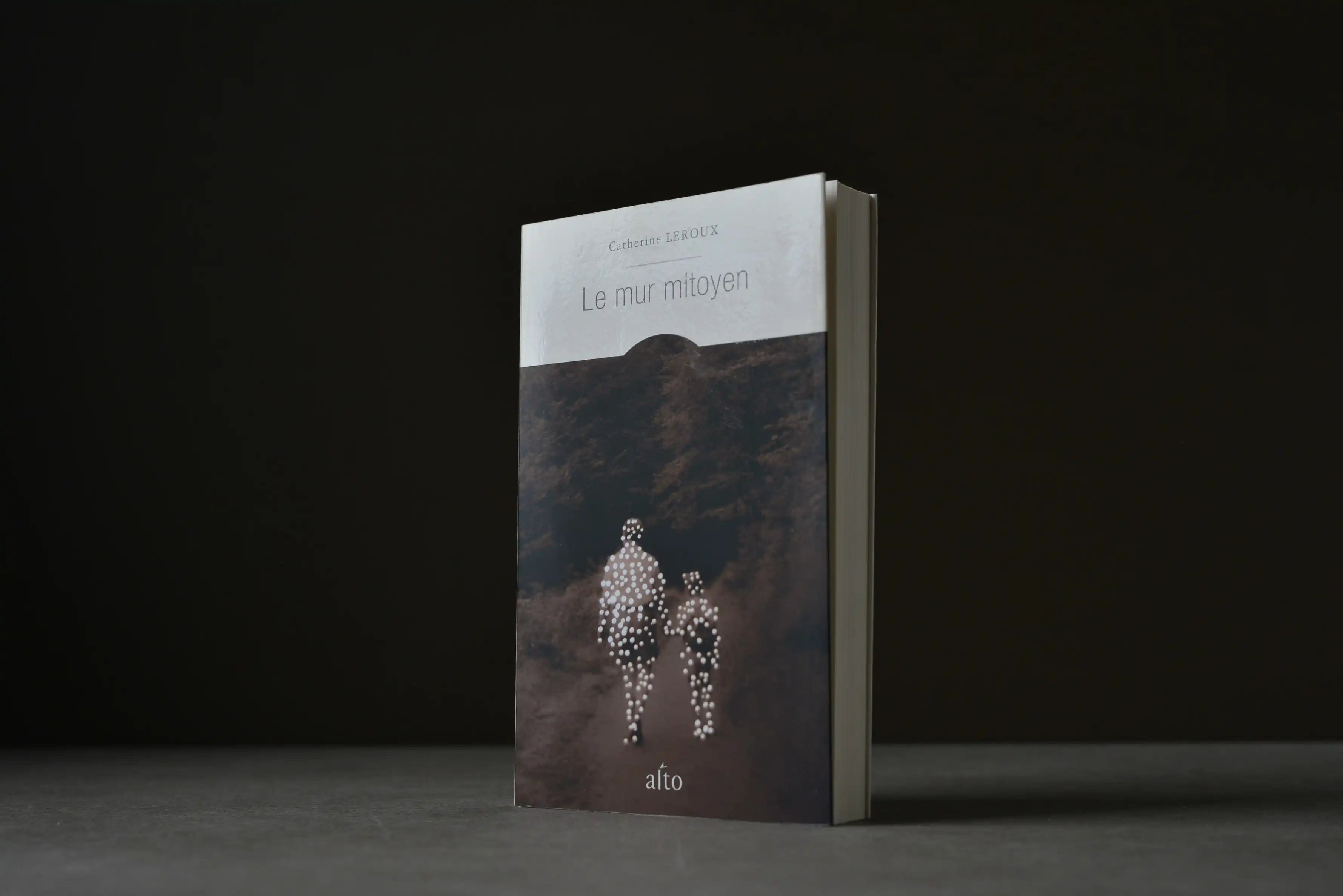 Leroux, Catherine - Le mur mitoyen - Alto - 9782896941223 - Très bon -  livre usagé