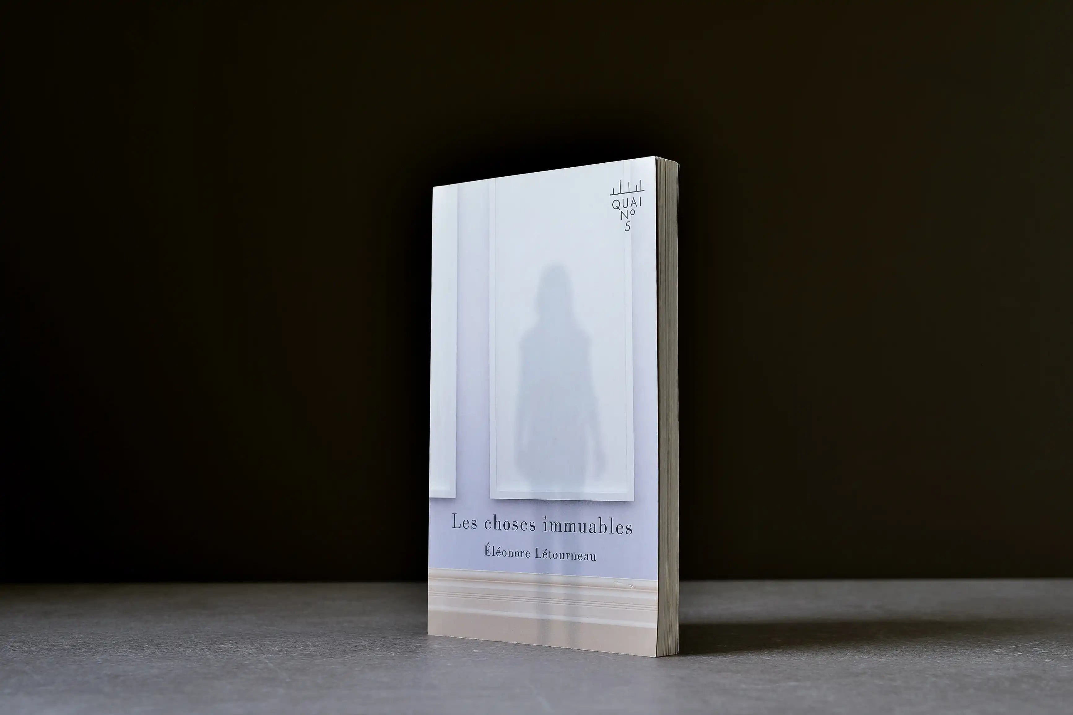 Létourneau, Éléonore - Les choses immuables - XYZ - 9782897720162 - Assez bon -  livre usagé