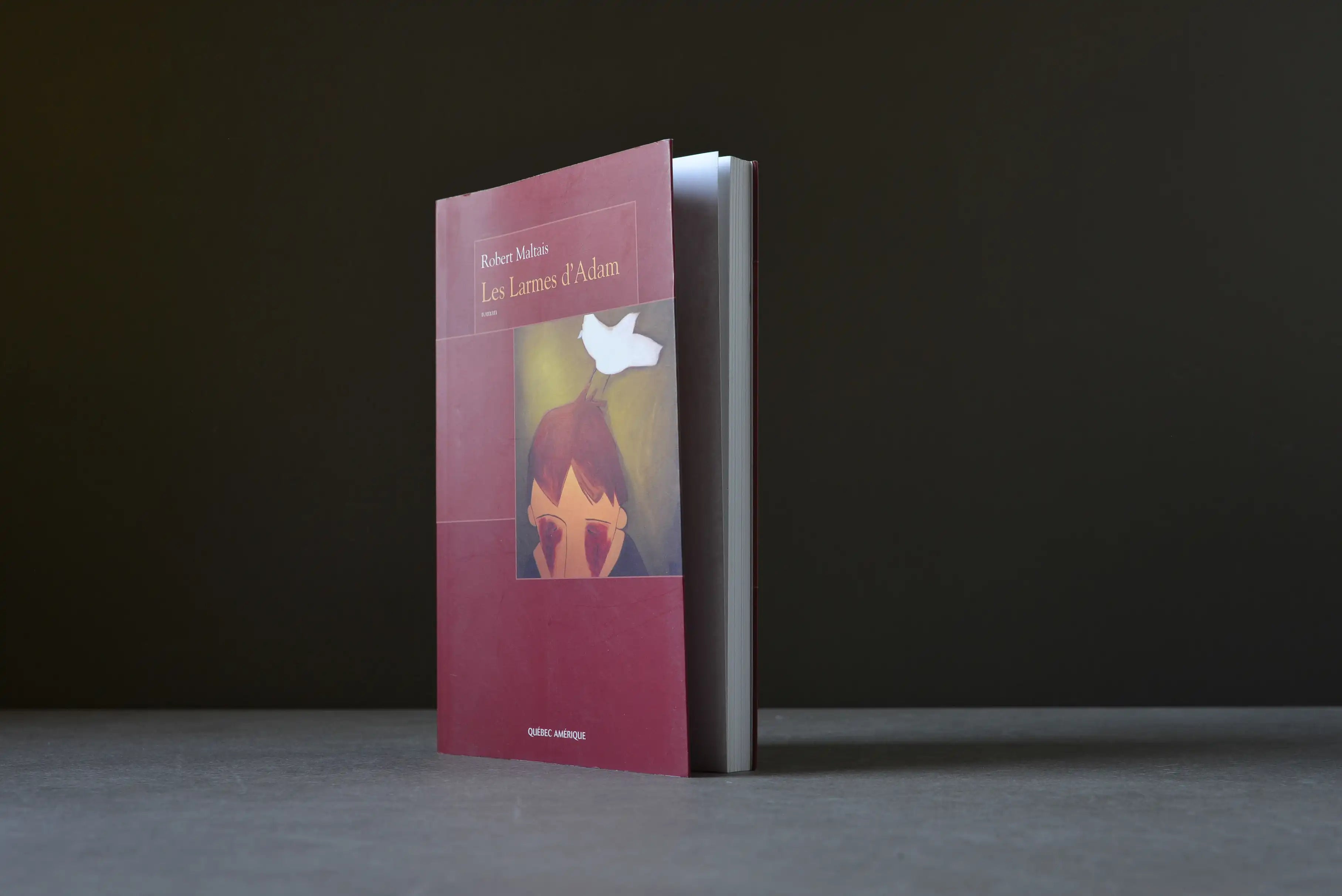 Maltais, Robert - Les larmes d'Adam - Québec Amérique - 9782764403587 - Bon -  livre usagé