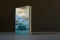 Mankell, Henning - Les chaussures italiennes - Seuil - 9782020944656 - Assez bon -  livre usagé