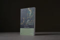 Martel, Suzanne - LES COUREURS DES BOIS, T. 01 - Fides - 9782762116342 - Bon+ -  livre usagé