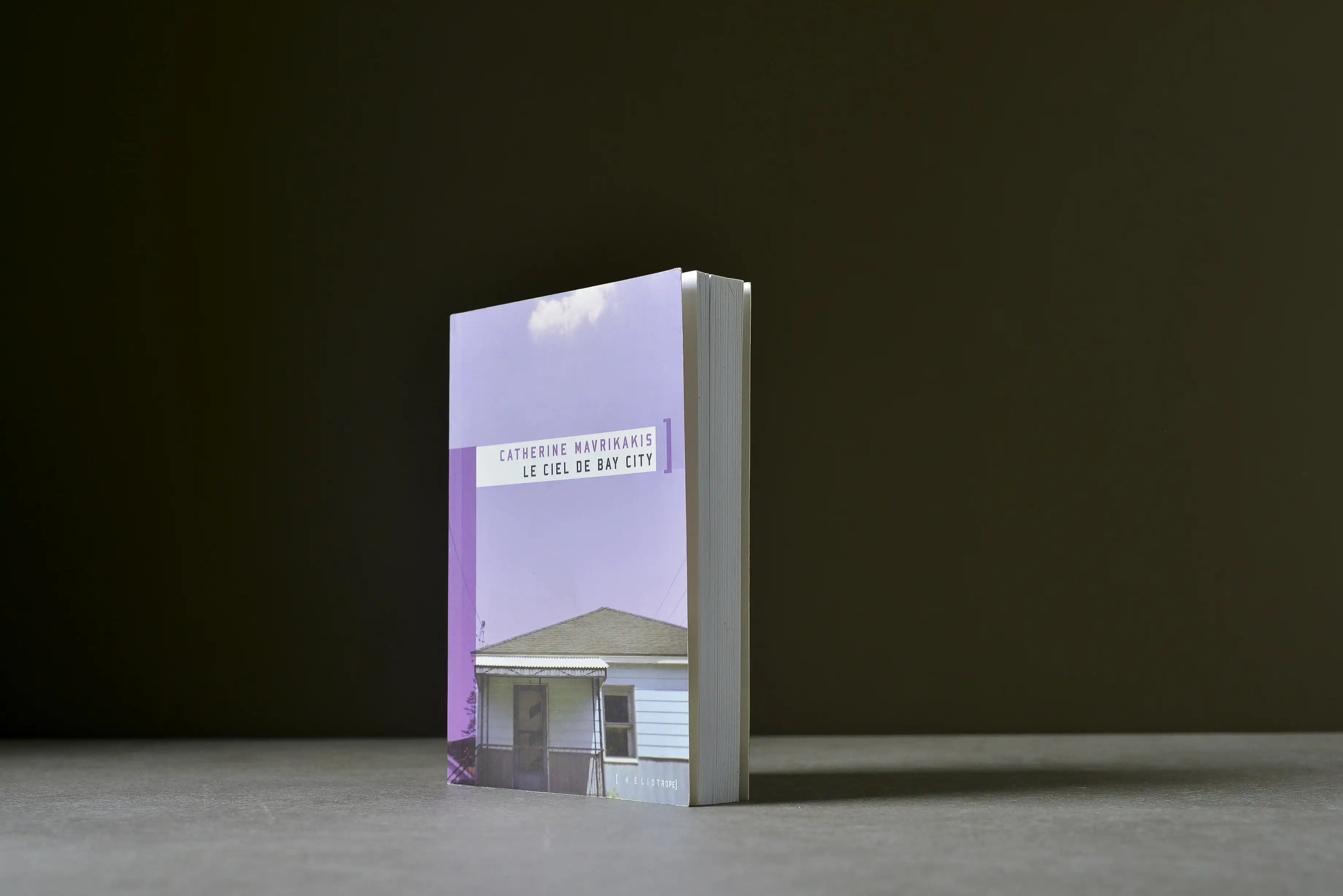 Mavrikakis, Catherine - Le ciel de Bay City  - Héliotrope - 9782923511122 - Bon -  livre usagé