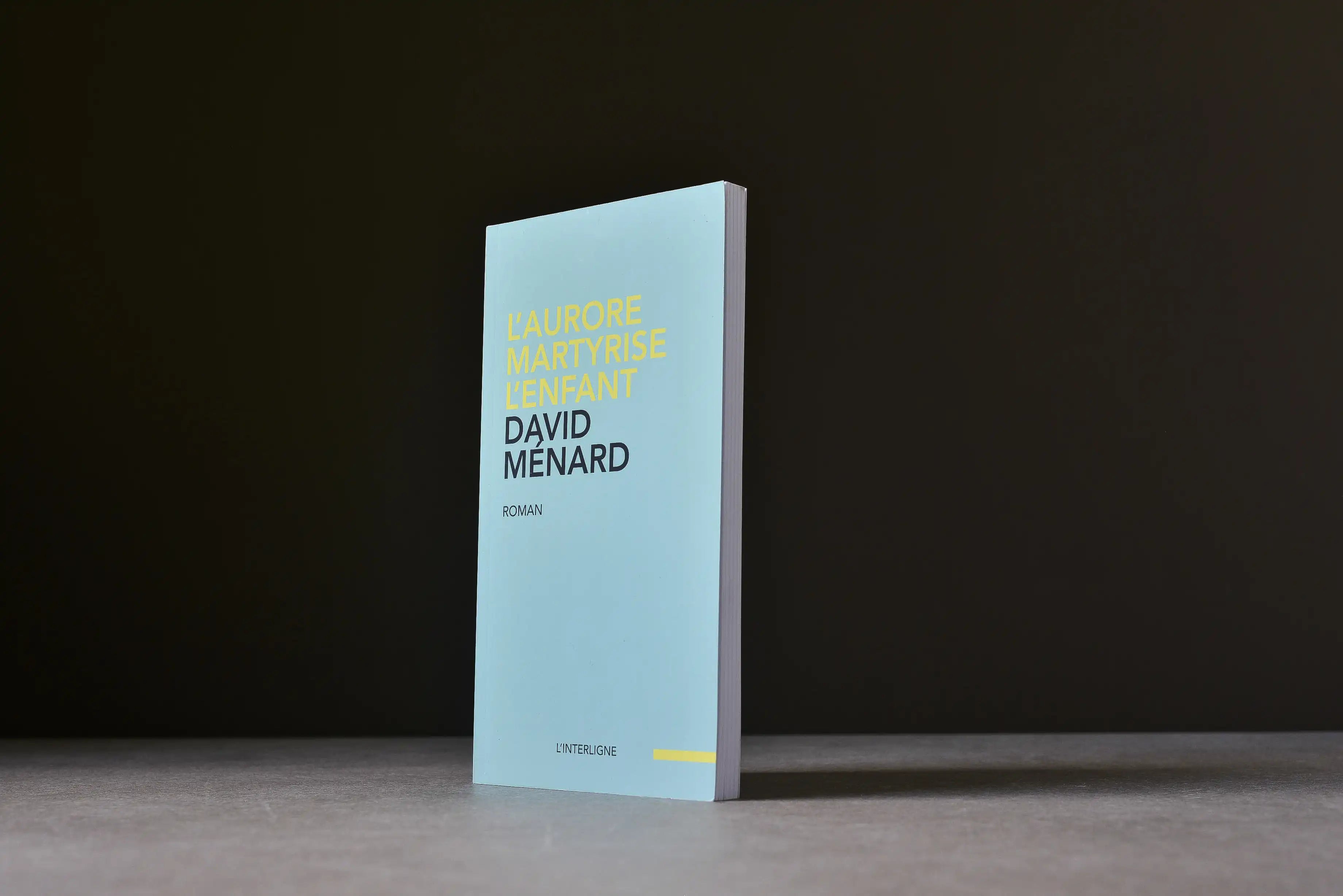 Ménard, David - L'aurore martyrise l'enfant - L'interligne - 9782896997831 - Très bon -  livre usagé