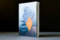Michaud, Alexandre - Francis - VLB éditeur - 9782896498253 - Bon+ - livre usagé