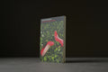 Mogliasso, Rosa - Si belle, mais si morte - Finitude - 9782363390813 - Bon+ -  livre usagé