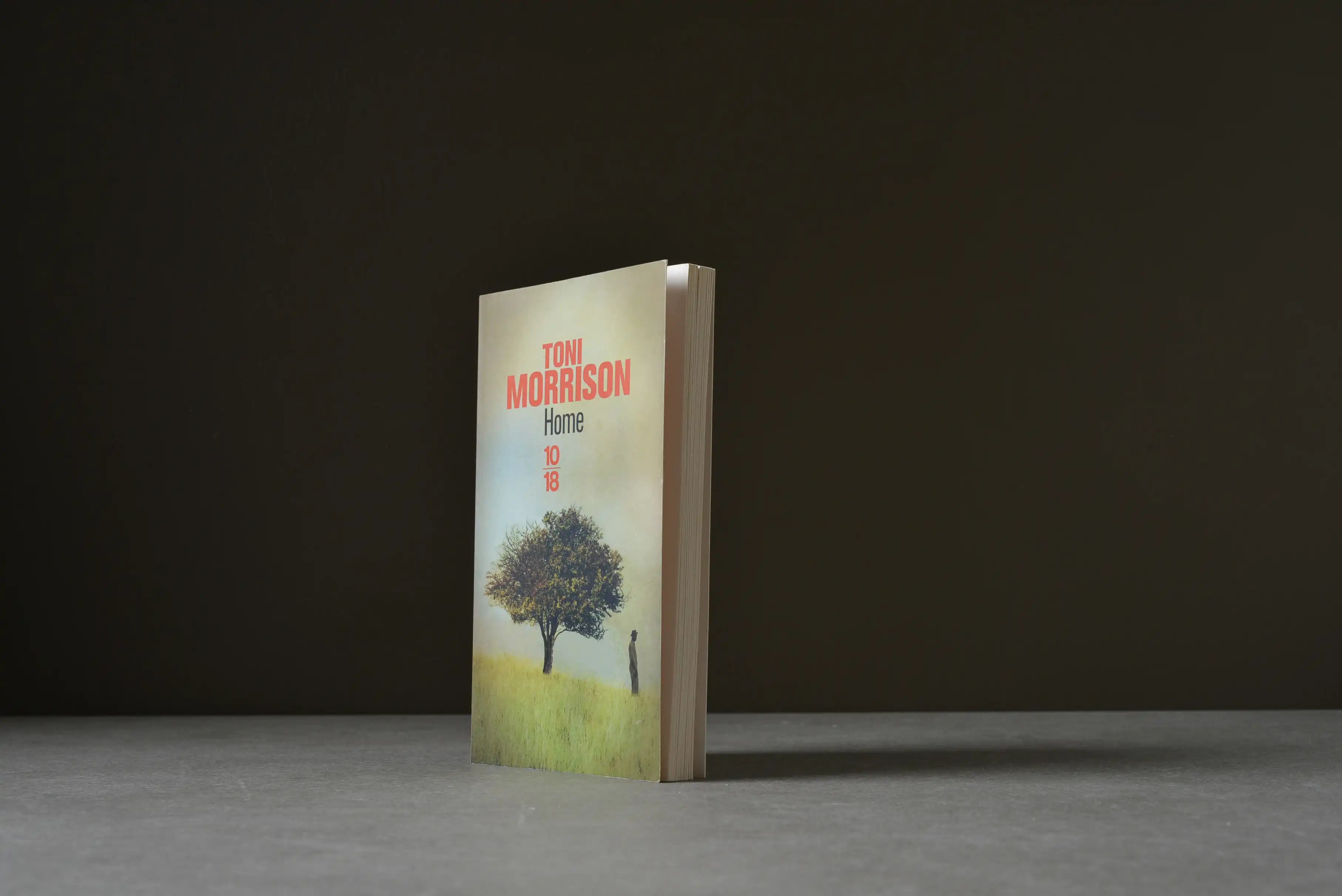 Morrison, Toni - Home - 10-18 - 9782264058799 - Très bon -  livre usagé