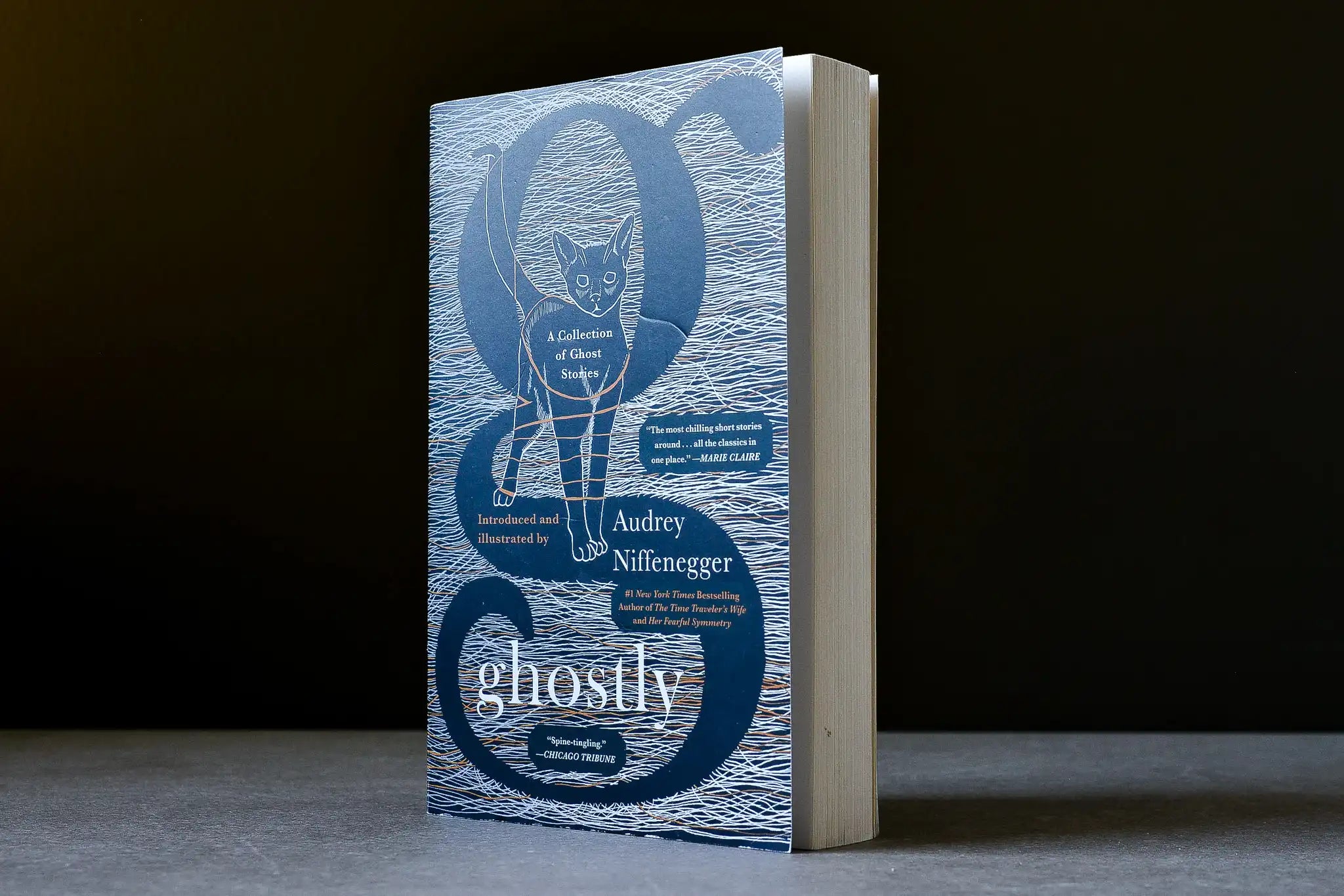 Niffenegger, Audrey - Ghostly - Scribner - 9781501111204 - Assez bon - livre usagé