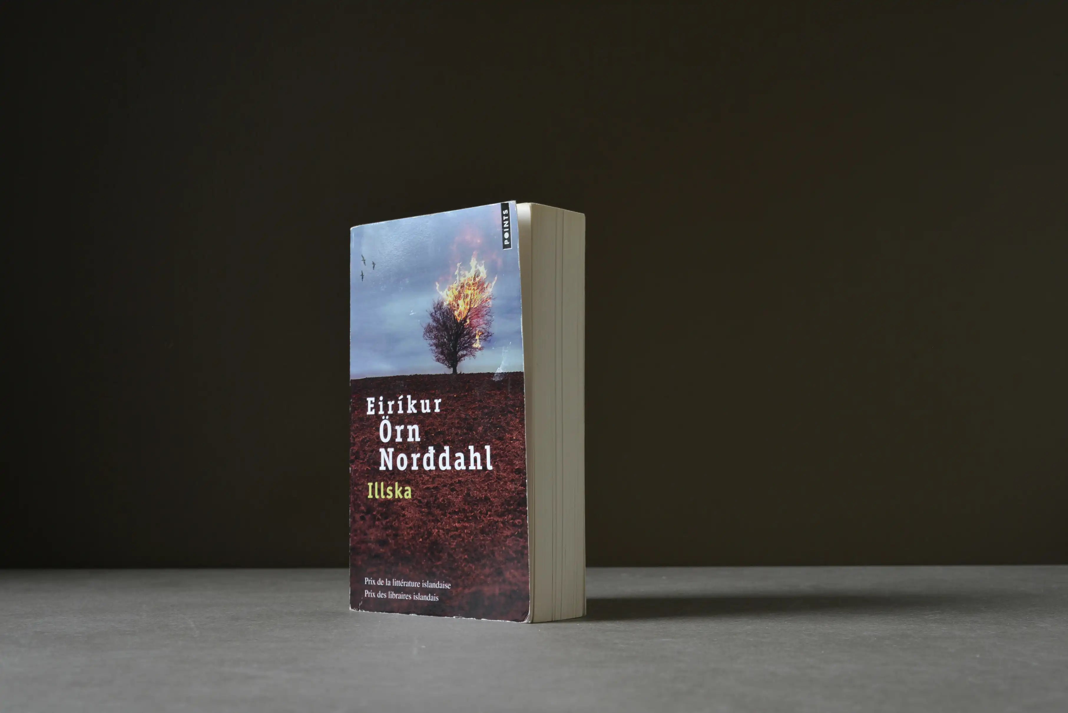 Norddahl, Eiríkur Örn - Illska - Points - 9782757860854 - Satisfaisant -  livre usagé