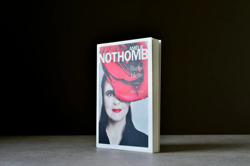 Nothomb, Amélie - Barbe bleue - Albin Michel - 9782226242969 - Bon - livre usagé