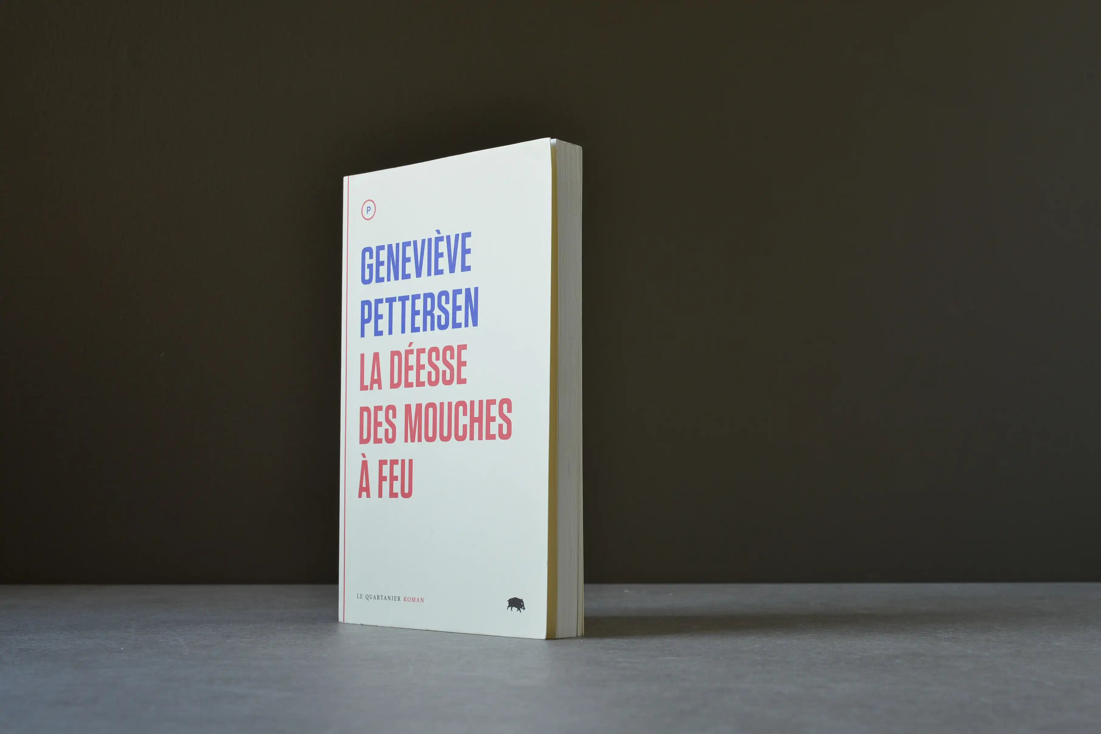 Pettersen, Geneviève - La déesse des mouches à feu - Le Quartanier - 9782896981595 - Assez bon -  livre usagé