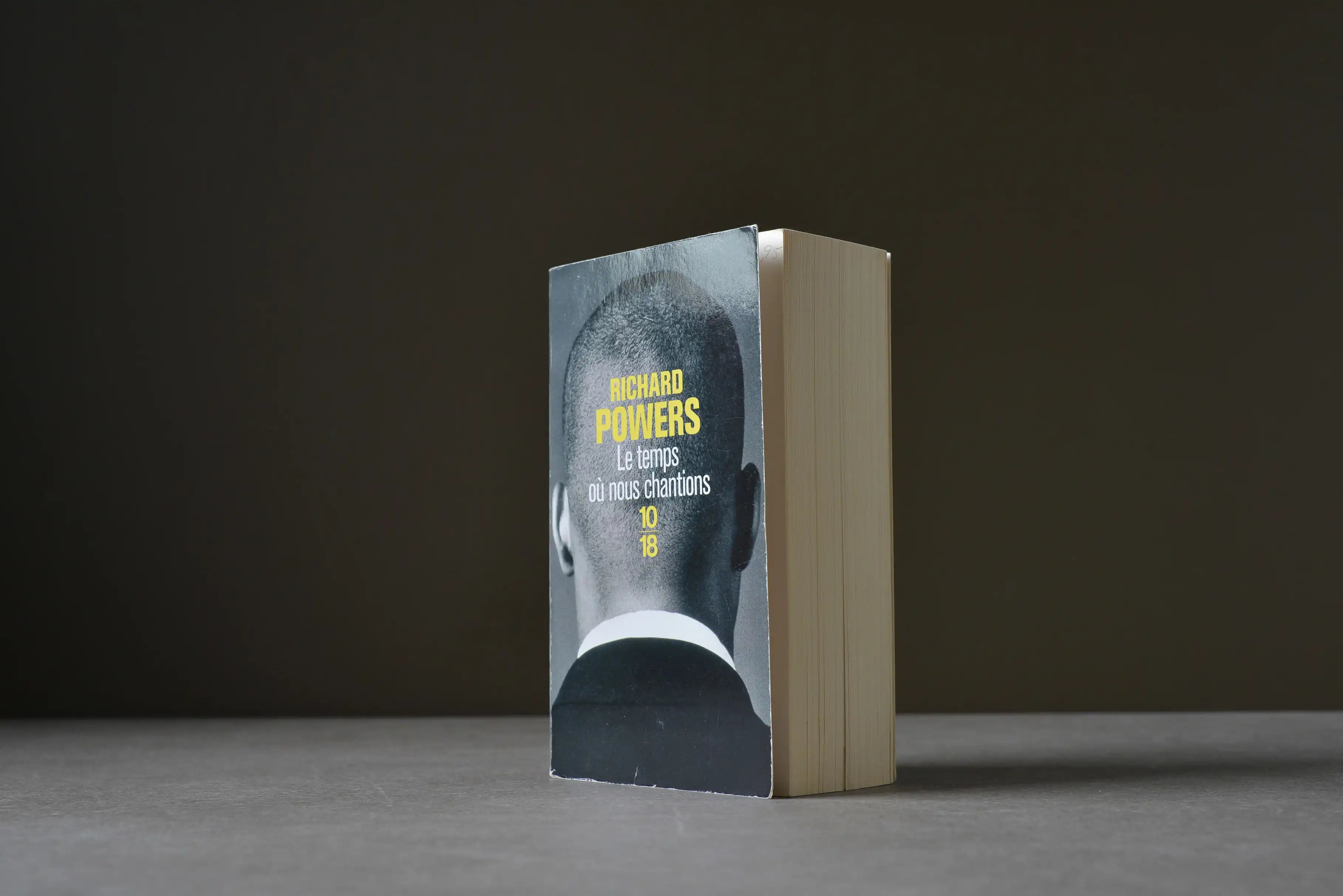 Powers, Richard - Le temps où nous chantions - 10-18 - 9782264041449 - Assez bon -  livre usagé