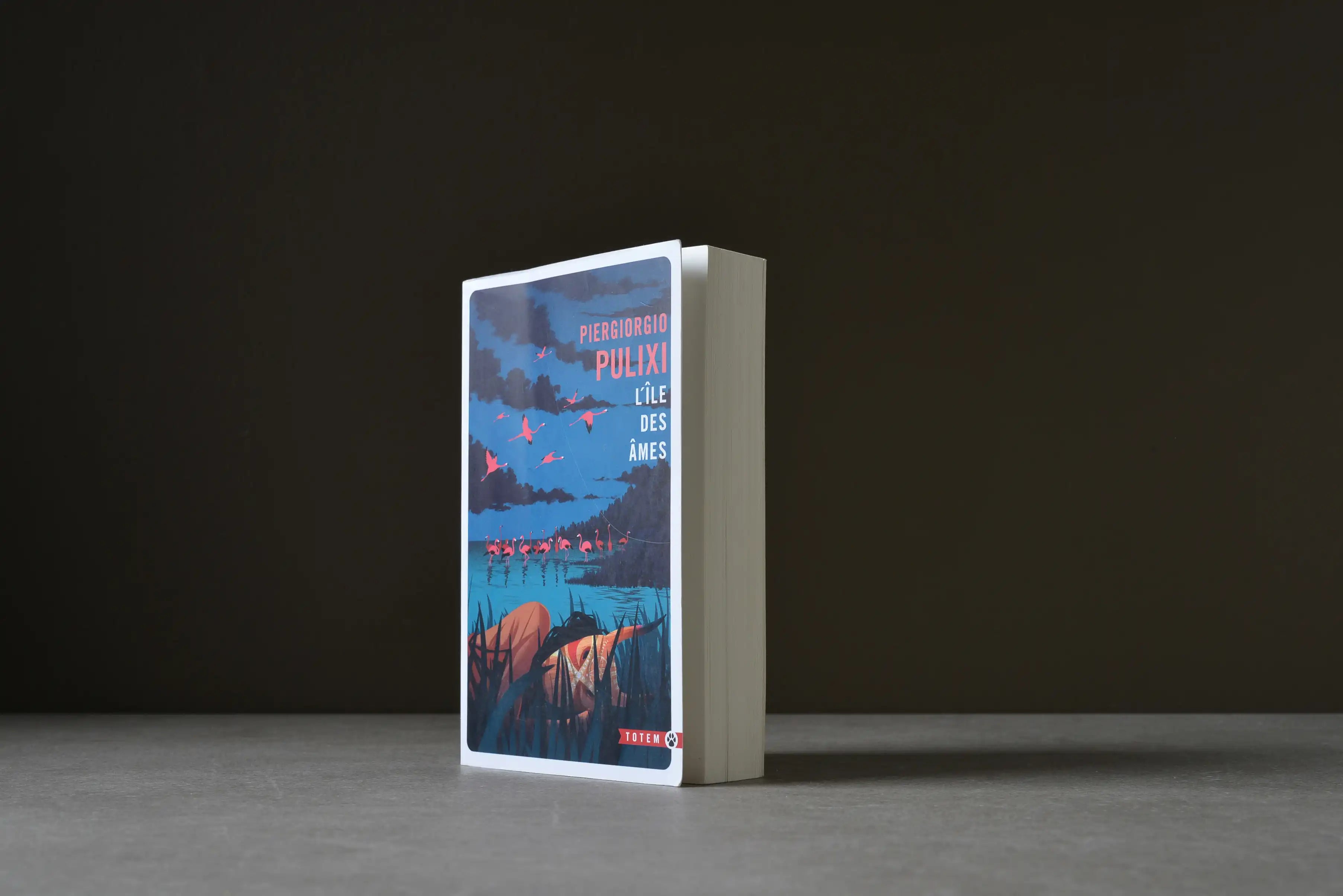 Pulixi, Piergiorgio - L'île des âmes - Gallmeister - 9782351788424 - Assez bon -  livre usagé