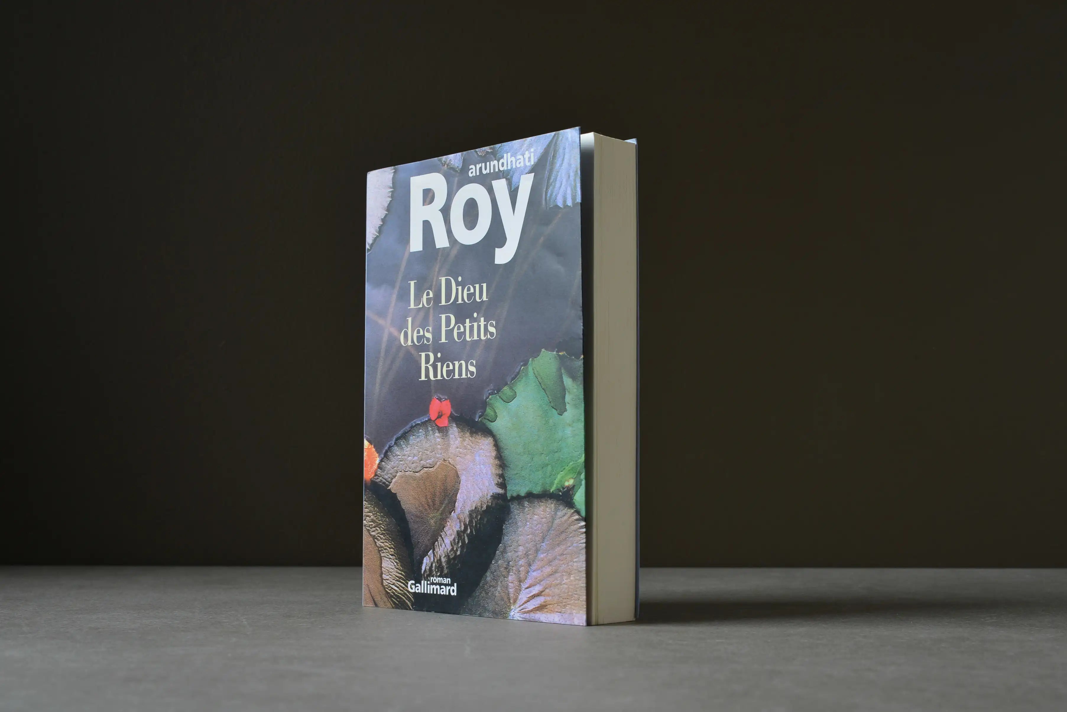 Roy, Arundhati - Le dieu des petits riens - Gallimard - 9782070747979 - Très bon -  livre usagé