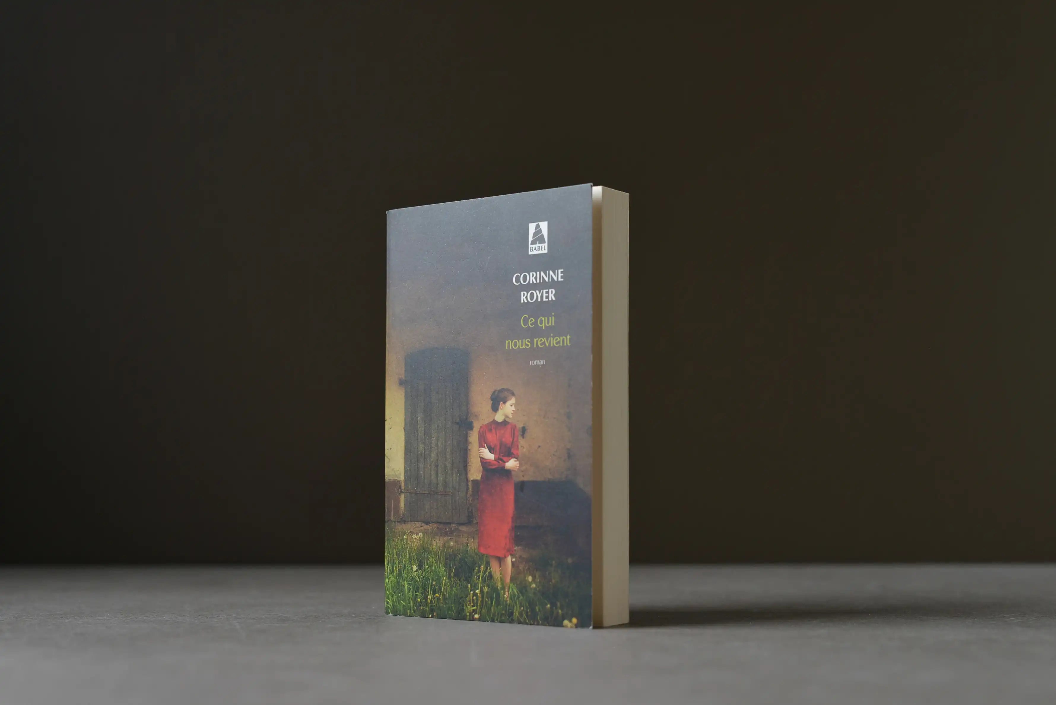 Royer, Corinne - Ce qui nous revient - Babel - 9782330153618 - Bon -  livre usagé