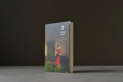 Royer, Corinne - Ce qui nous revient - Babel - 9782330153618 - Bon -  livre usagé