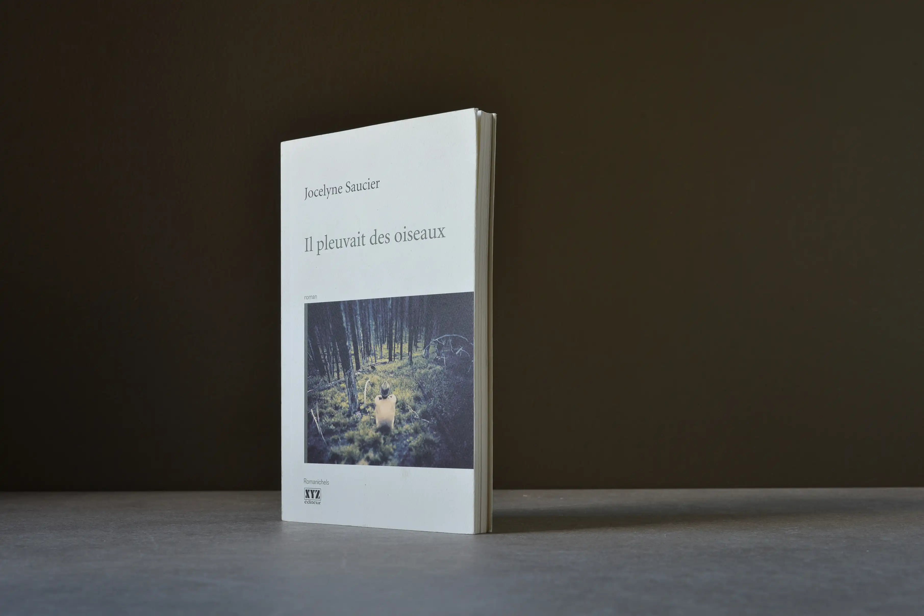Saucier, Jocelyne - Il pleuvait des oiseaux - XYZ - 9782892616040 - Assez bon -  livre usagé