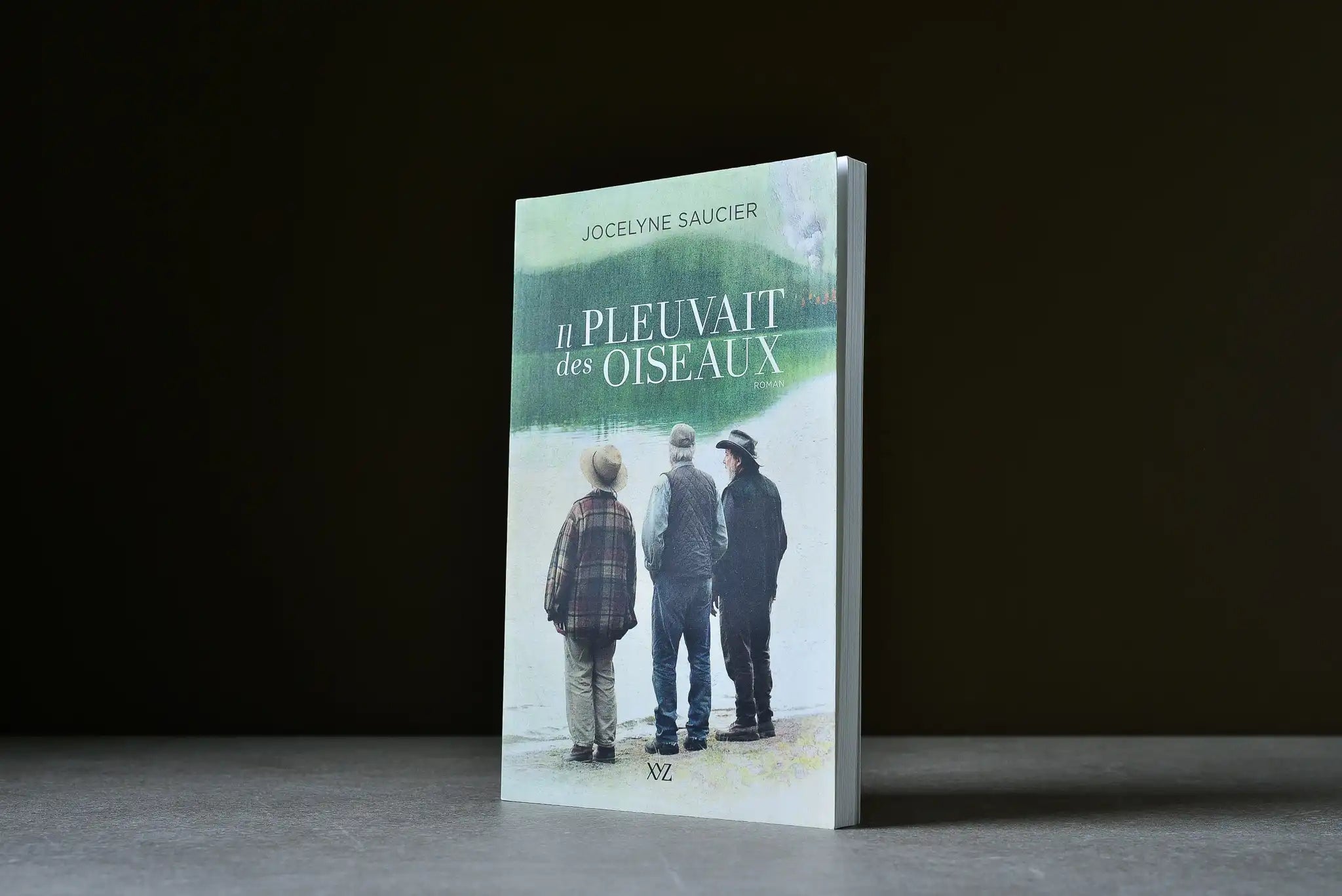 Saucier, Jocelyne - Il pleuvait des oiseaux - XYZ - 9782892616040 - Bon - livre usagé