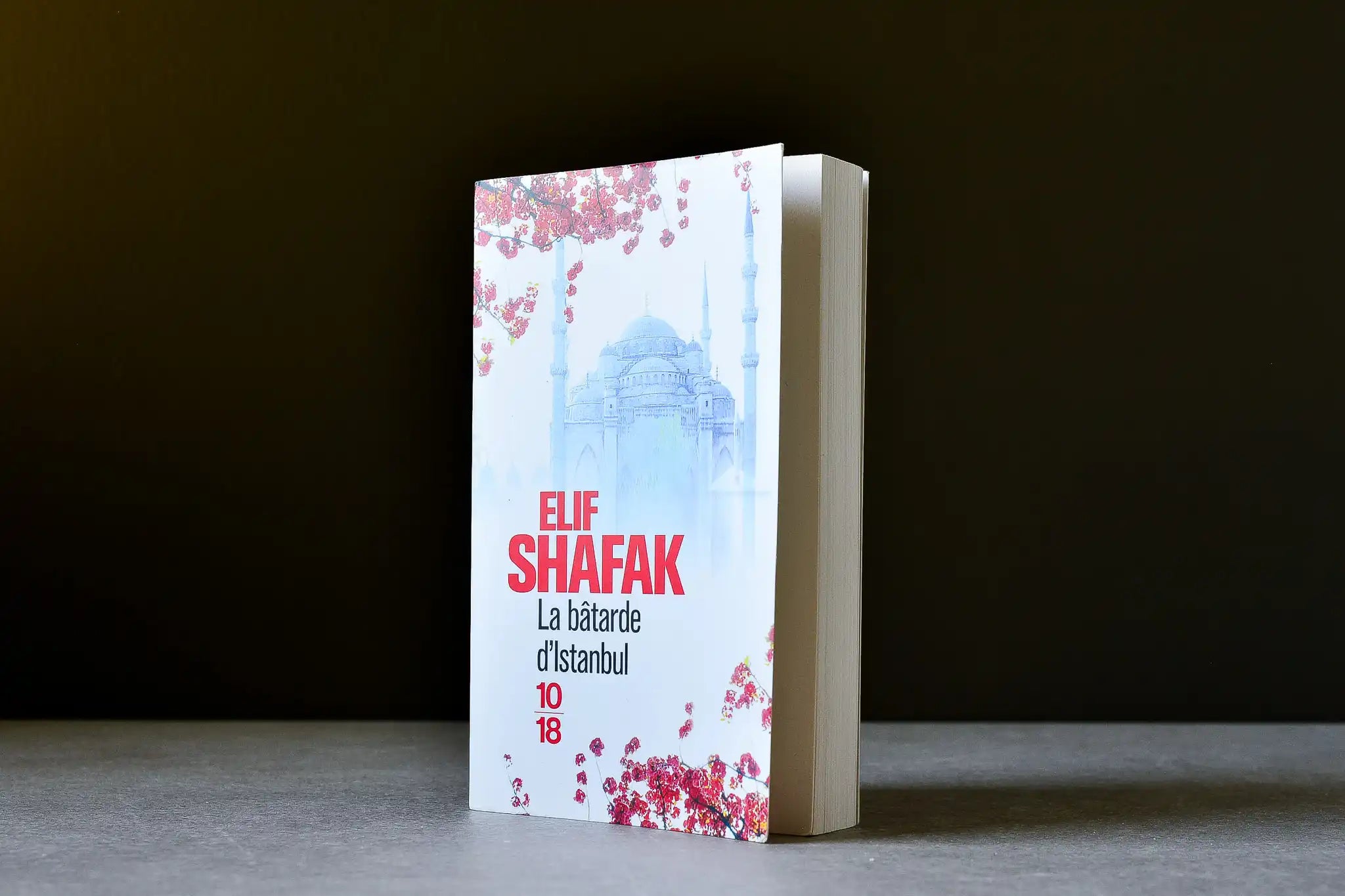 Shafak, Elif - La bâtarde d'Istanbul - 10-18 - 9782264047403 - Satisfaisant - livre usagé