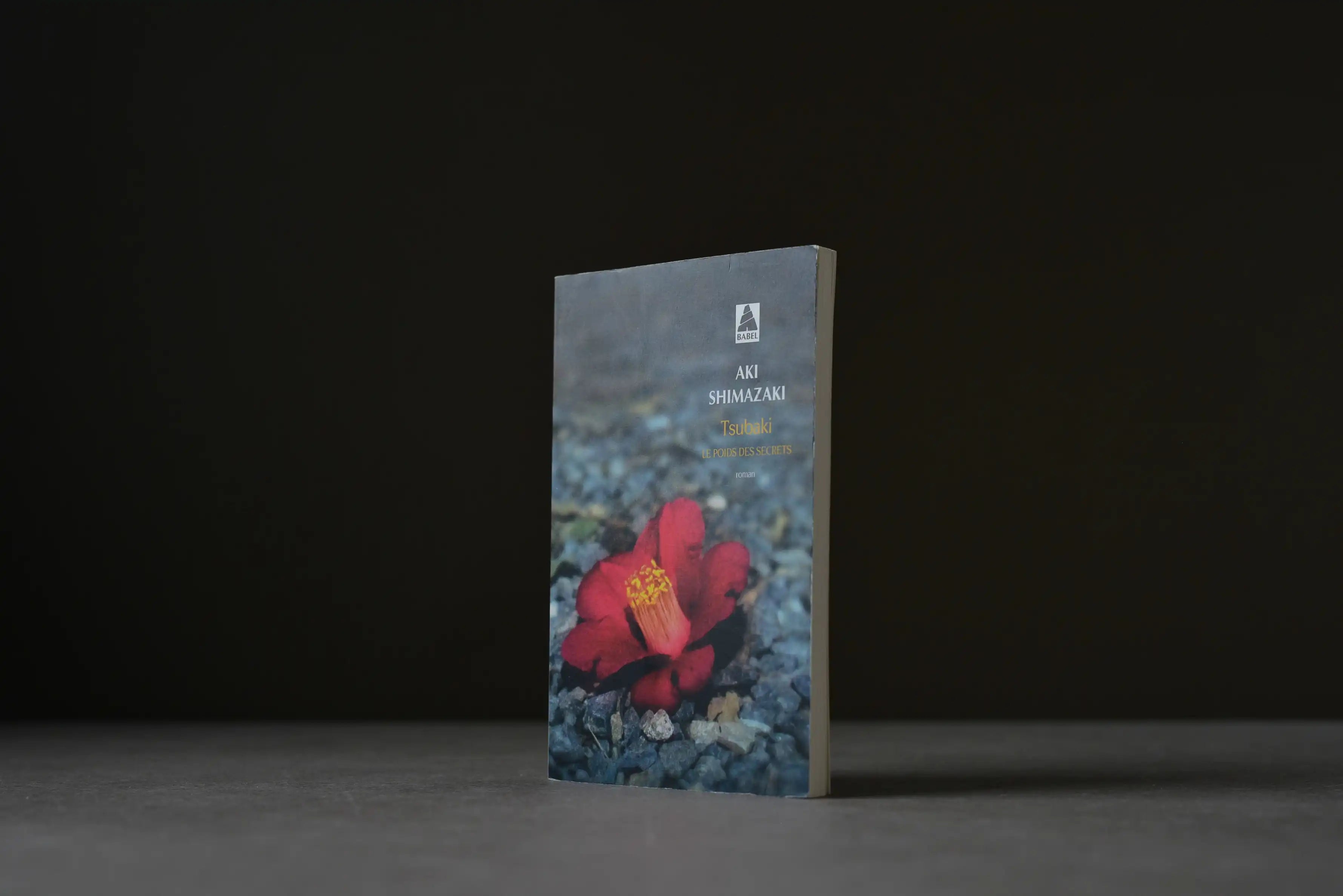 Shimazaki, Aki - Tsubaki - Babel - 9782742757909 - Bon -  livre usagé