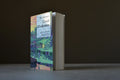 Simmons, Dan - L'éveil d'Endymion - Robert Laffont - 9782221086346 - Bon+ -  livre usagé