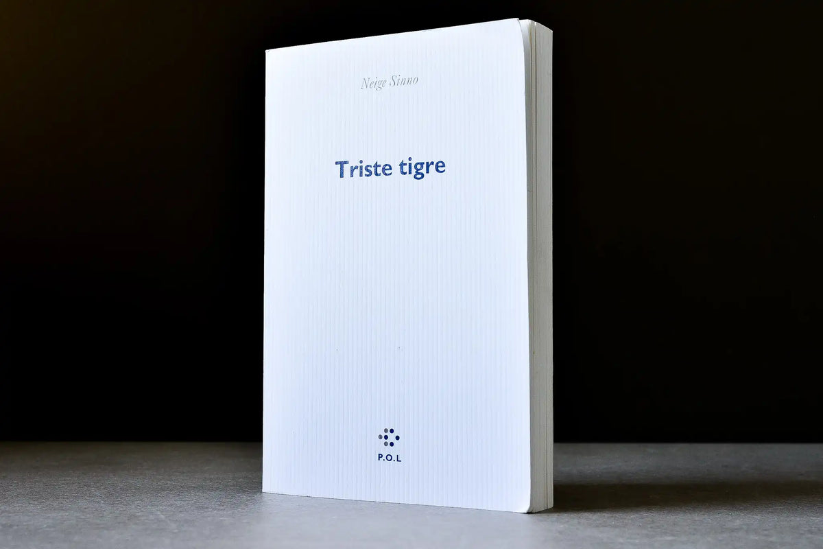 Sinno, Neige - Triste tigre - POL - 9782818058268 - Assez bon - livre usagé