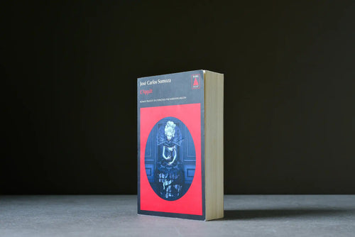 Somoza, José Carlos - L'appât - Babel - 9782330018771 - Assez bon - livre usagé