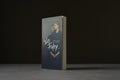 Thériault, Annie-Claude - Les Foley - Marchand de feuilles - 9782923896977 - Très bon -  livre usagé