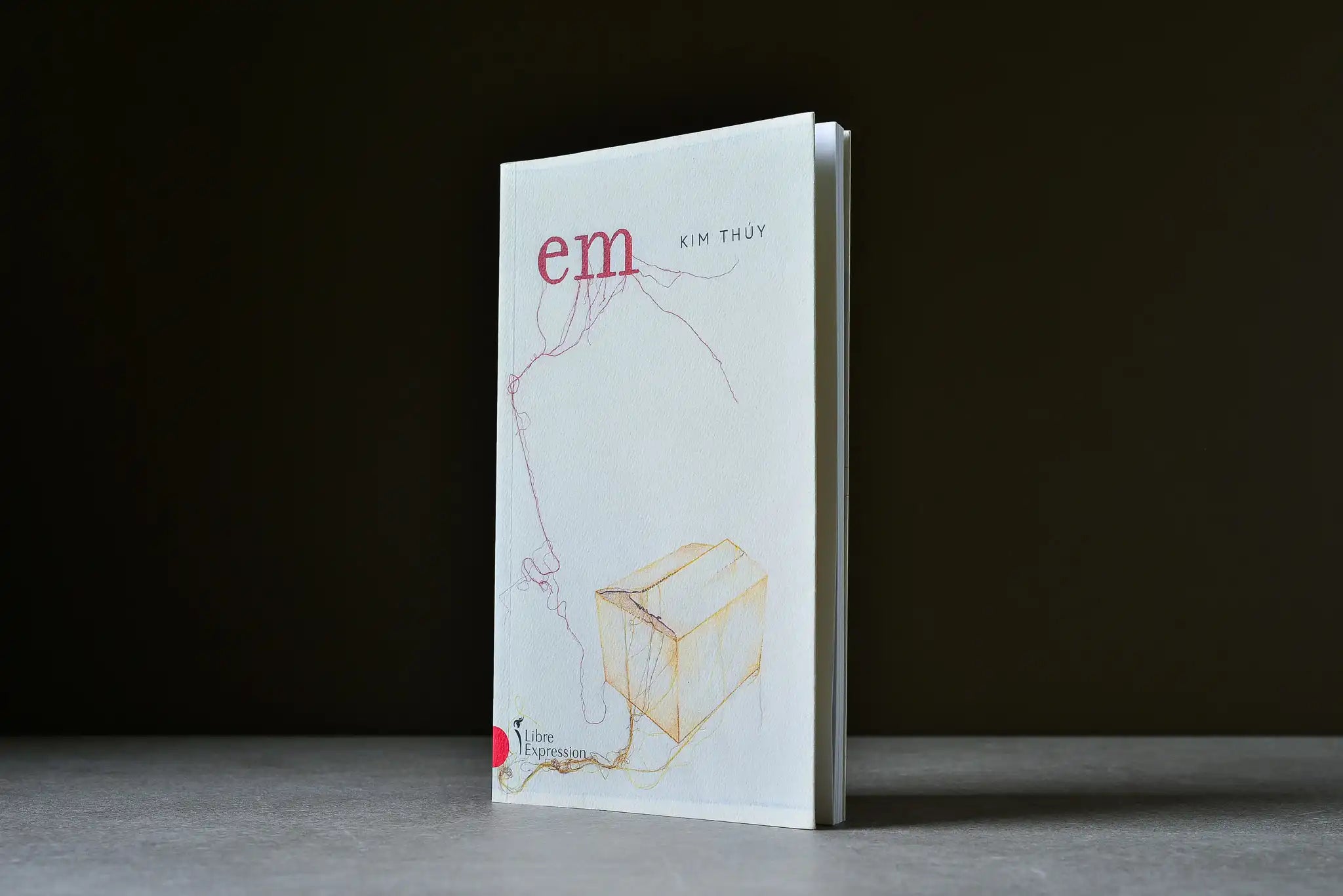 Thúy, Kim - Em - Libre Expression - 9782764813294 - Bon+ - livre usagé