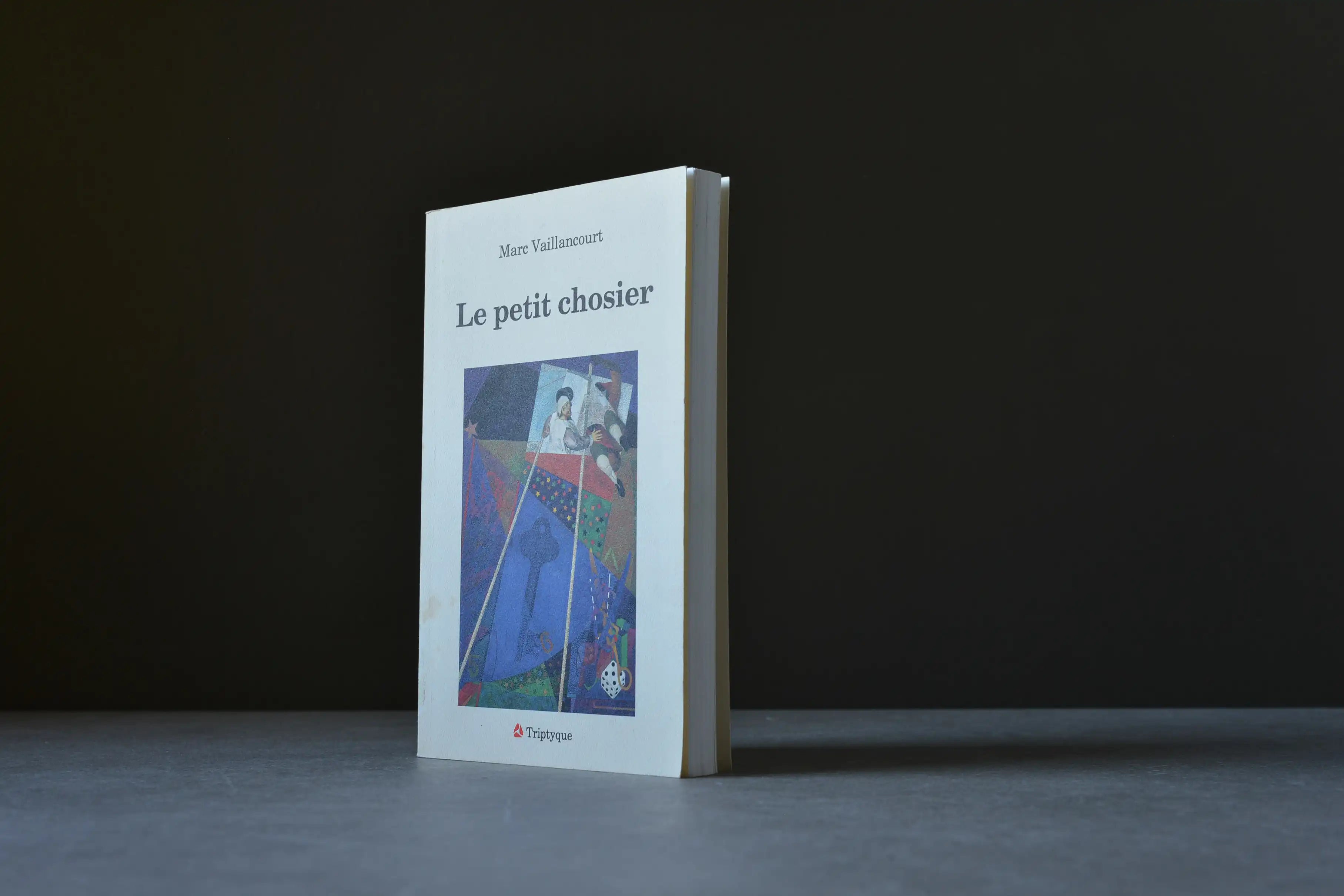Vaillancourt, Marc - Le petit chosier - Triptyque - 2890312259 - Assez bon -  livre usagé