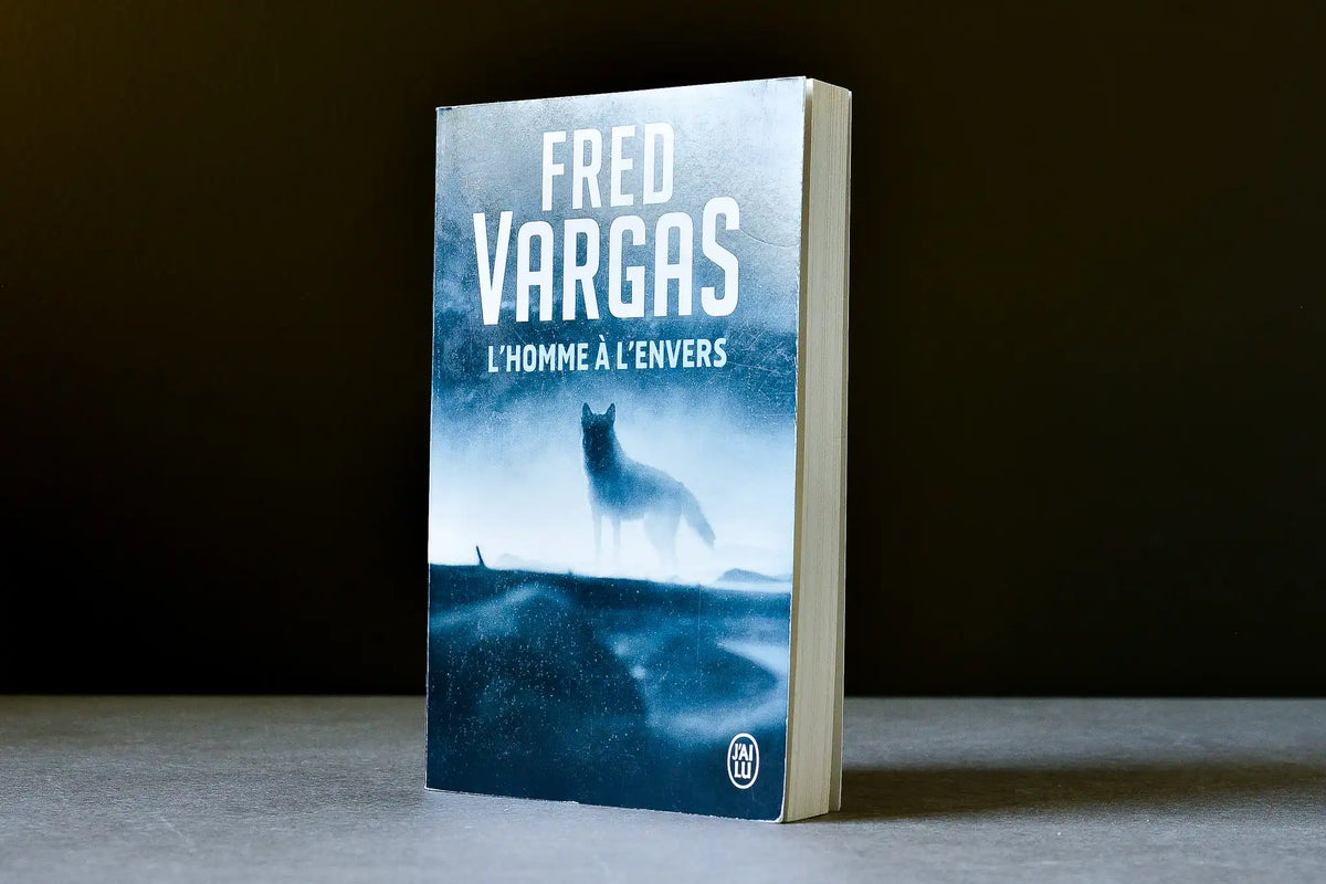 Vargas, Fred - L'homme à l'envers - J'ai Lu - 9782290349236 - Bon+ - livre usagé