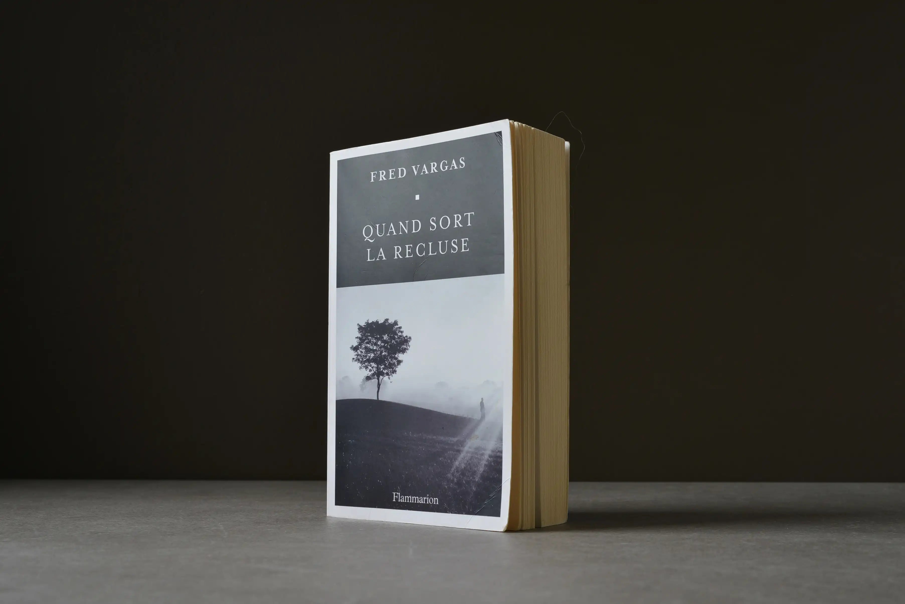 Vargas, Fred - Quand sort la recluse - Flammarion - 9782081413146 - Bon -  livre usagé