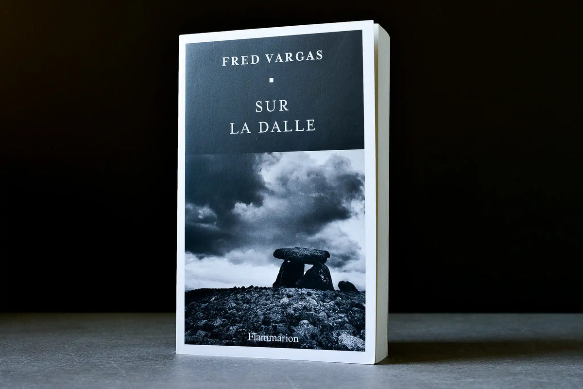 Vargas, Fred - Sur la dalle - Flammarion - 9782080420503 - Bon+ - livre usagé