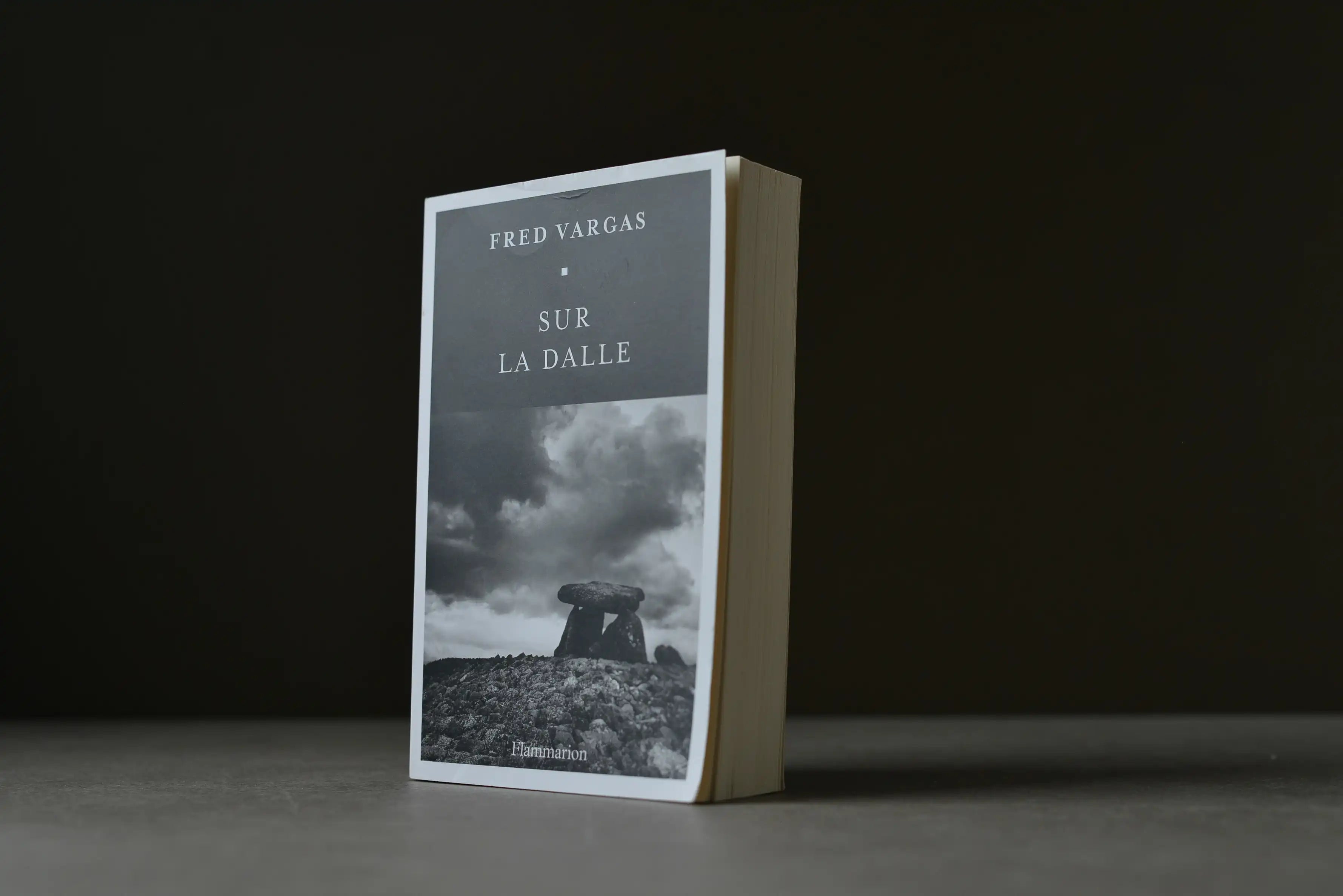 Vargas, Fred - Sur la dalle - Flammarion - 9782080420503 - Bon+ -  livre usagé